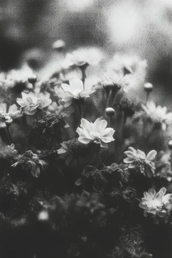 Nocturnal Monochrome Minimalist style reference image — lo-fi noir