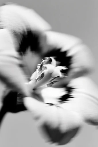 Monochrome Kinetic Glitch style reference image — pixel decay