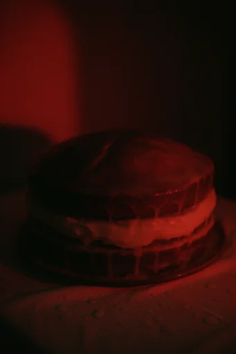 Cinematic Crimson Noir style reference image — vintage 35mm aesthetic