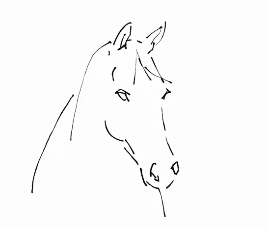 Portrait of a horse