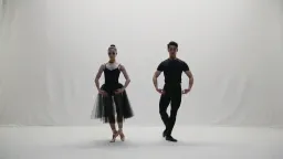 Stark, artistic choreography clip - two ballet dancers, entirely in black silhouette, perform a dance move in front of a bright white background. High contrast scene.